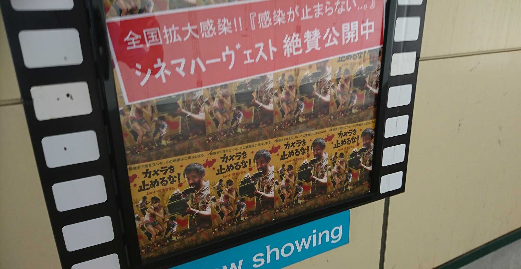 シネマハーヴェスト Twitter Search Twitter