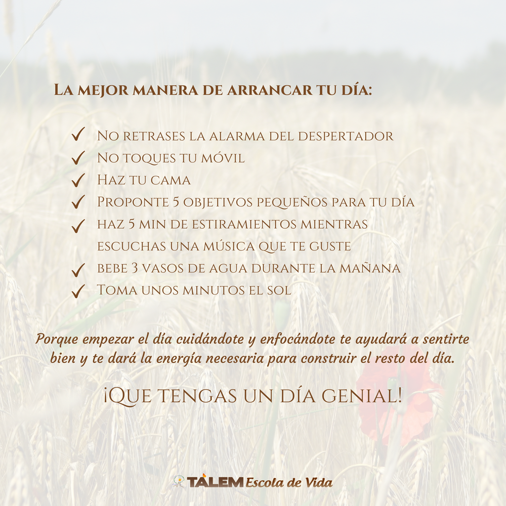 TalemEscola's tweet photo. 🌻😁

#talemescola #talem #talemescueladevida #CrecimientoPersonal #DesarrolloPersonal #CreixementPersonal #empezarbieneldía

https://t.co/FAMNDOsKoa
https://t.co/shUnGUIrRa https://t.co/FmxriOaark