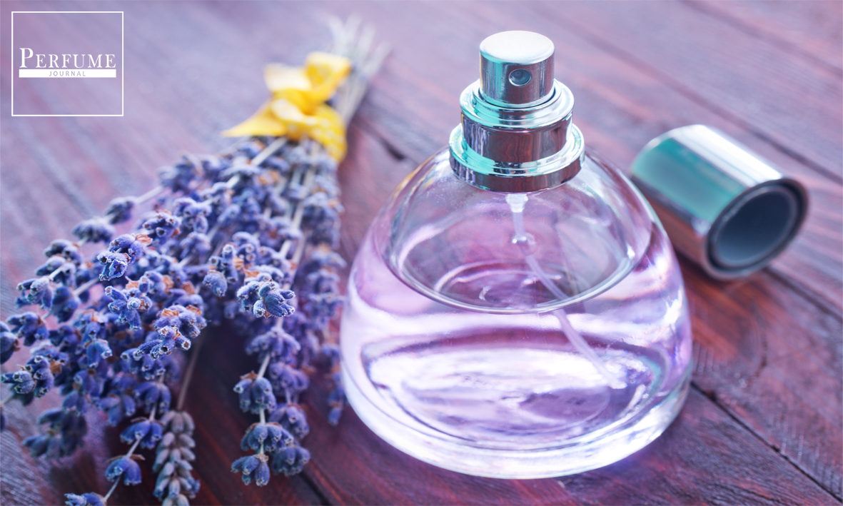 theperfumejournal tweet media
