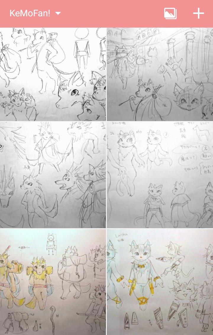 そういえば
個人サークルで心機一転の瞬間、KeMoFan!アルバムがキリ番踏みましたやったぁぁぁ(*'∀`)

まだまだ2年ちょいですが、これからもっと増えると思うと楽しみです✨(初めの方はもう直視できませんw) 