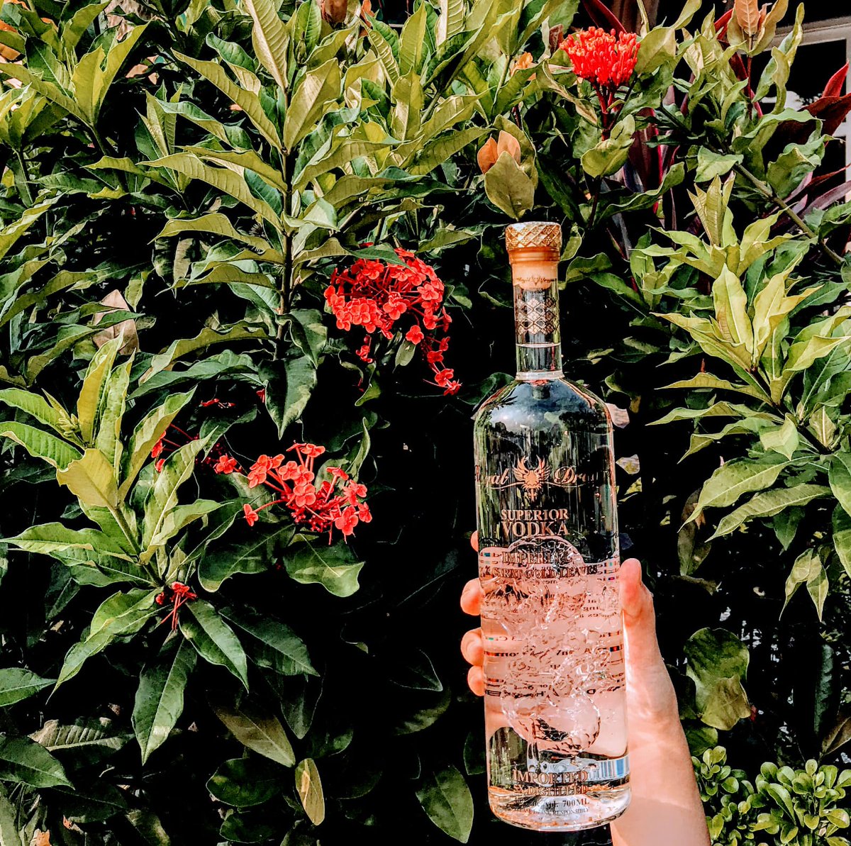 Pure Perfection!

5x distilled vodka from the finest winter harvest rye. Each time producing only a small batch to achieve ultimate softness and purity!

Go to royaldragonvodka.com to learn more!

#RoyalDragonVodka #5xDistilledVodka #23CaratGold #ImperialCollection #Dragon