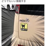 ちゃんと意味があった!「家に猫がいます」ステッカーを車に貼る理由