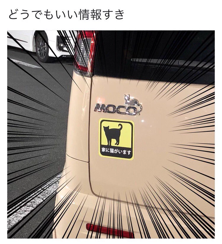 ちゃんと意味があった！「家に猫がいます」ステッカーを車に貼る理由