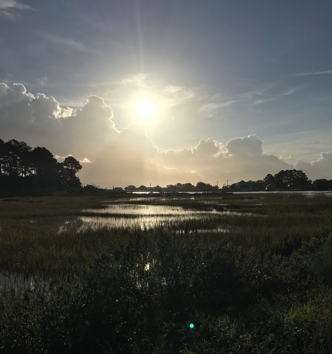WildCora's tweet photo. The calm between the storms on a very high tide at the @vcrlter and #ABCRC.
Beware of #coastalflooding.
Our intrepid explorers are already out installing sensors before hurricane Florence arrives. #resilientresearchers
(Extreme #BACI, anyone?) https://t.co/tGuyi3nnHo