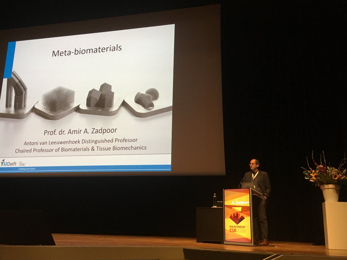 Prof Zadpoor giving an exciting talk on meta-biomaterials as Jean Leray Awardee #ESB2018 @amir_zadpoor