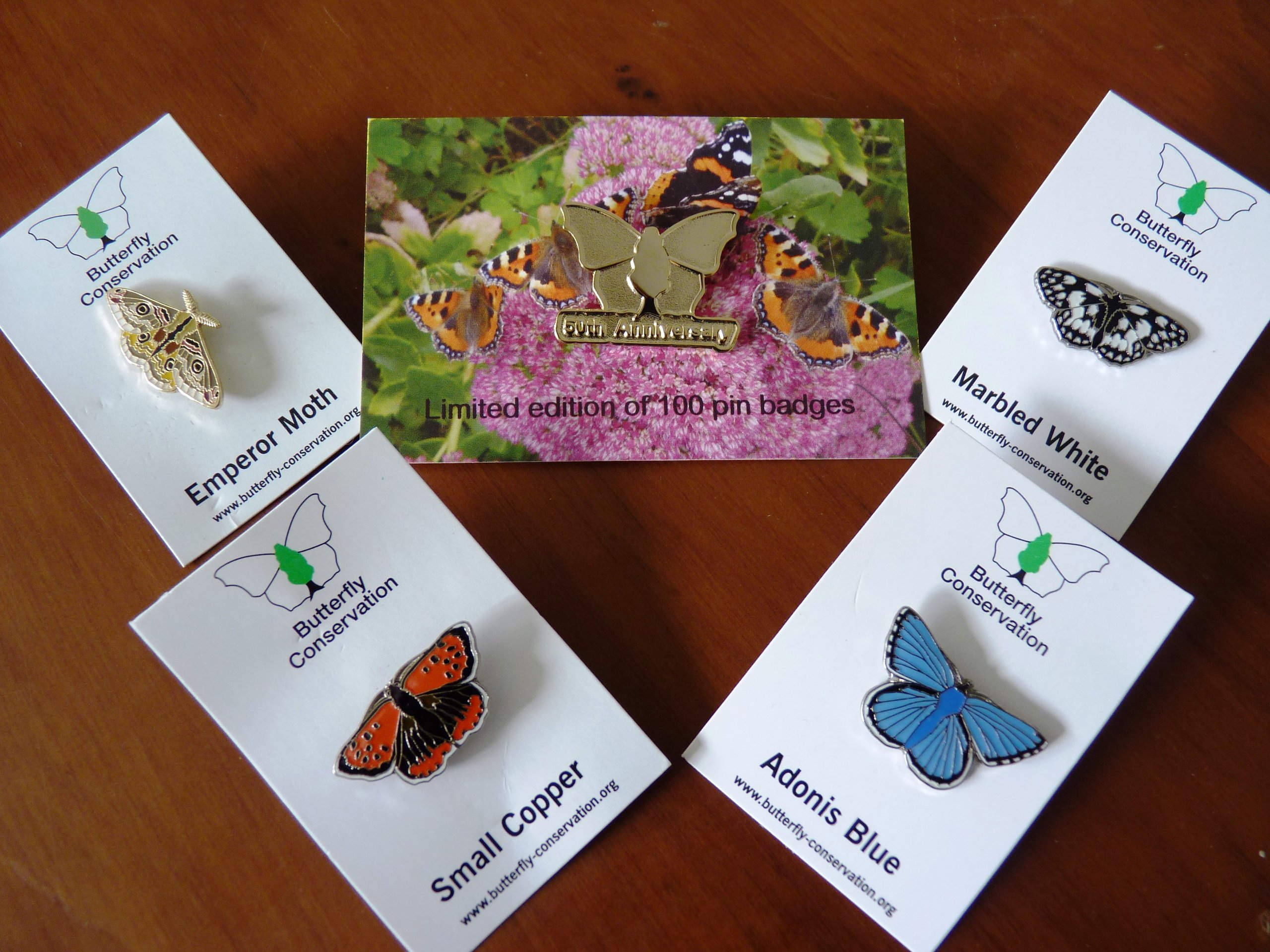 At Auction: (10) BUTTERFLY PINS