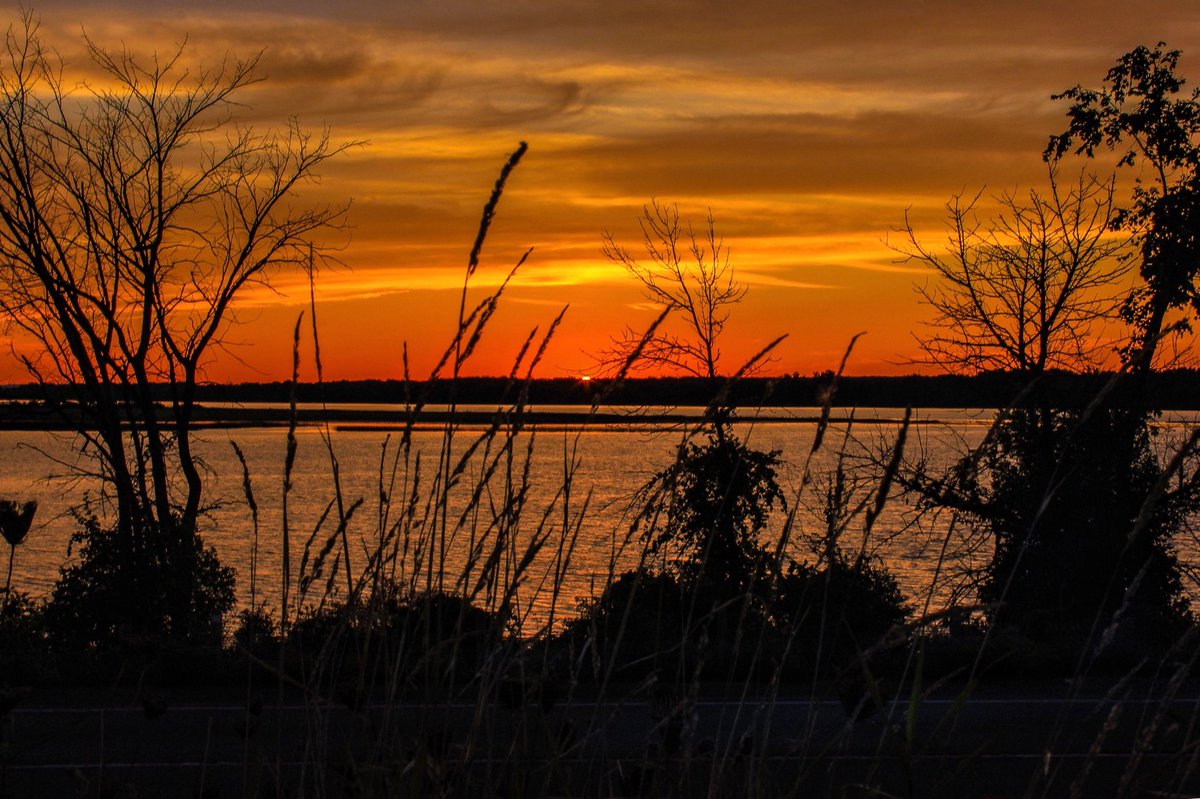#sunset from last week in Rockland, Ontario on the #ottawariver 
<a href="/ThePhotoHour/">#ThePhotoHour</a> 
<a href="/BitchinSunsets/">Julieta M Walker</a> 
<a href="/BlacksWeather/">Ian Black</a> 
<a href="/EarthandClouds/">Earth and Clouds</a> 
<a href="/EarthandClouds2/">Earth and Clouds II</a> 
<a href="/AdorablePixx/">Nature is Adorable 🌴</a> 
<a href="/BestSunsetPhoto/">📷Вⷡeͤs͛ᴛⷮS͛uͧns͛eͤᴛⷮ Рⷬhͪoͦᴛⷮoͦ🌇</a>