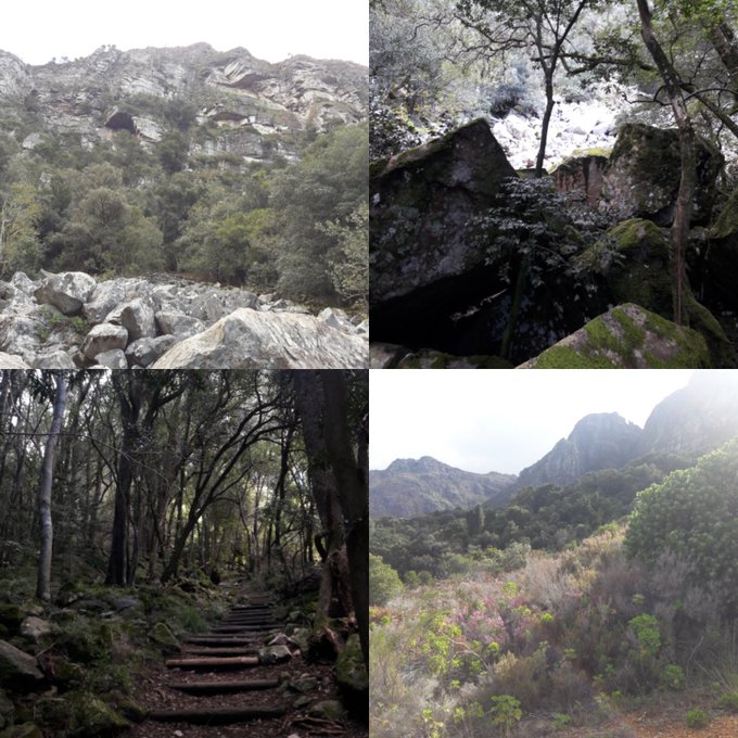 Happy monday to everyone, i spednt the weekend hiking amazing https://t.co/qOcQUXSojD