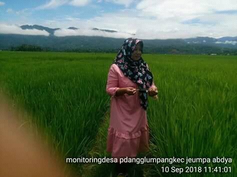 thlpoptaceh's tweet image. Giatkan Pengawalan OPT
pastikan aman sampai panen..
@ditlin_tp 
@bbpopt 
@distan_tph_aceh 
@THLPOPTNASIONAL 
#SalamPerlintan