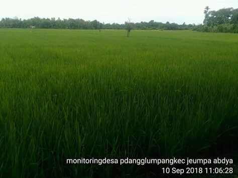 thlpoptaceh's tweet image. Giatkan Pengawalan OPT
pastikan aman sampai panen..
@ditlin_tp 
@bbpopt 
@distan_tph_aceh 
@THLPOPTNASIONAL 
#SalamPerlintan
