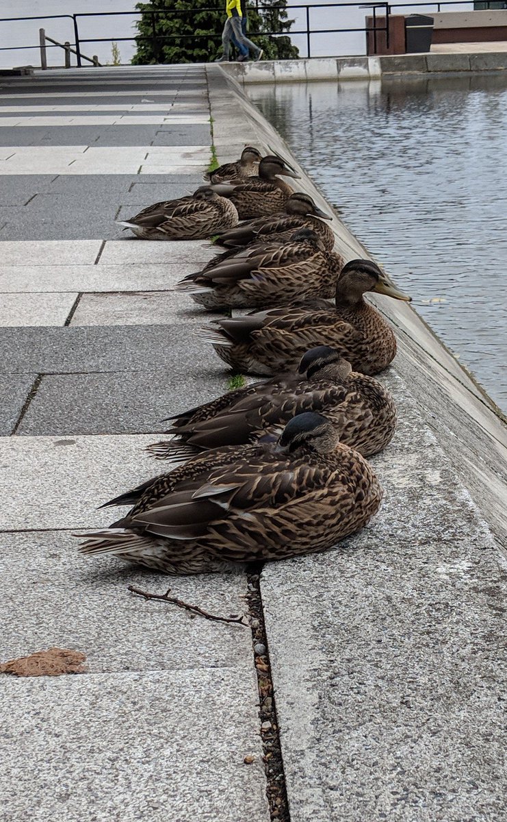Mike Croucher is on BlueSky tweet media