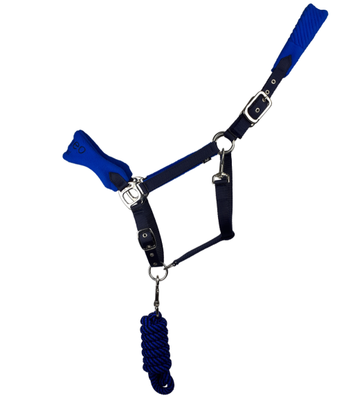 Hucklesbys's tweet image. In Stock Now - Elite Headcollar Set from Cameo.  With super soft padding on the nose, cheeks and poll &amp;amp; quality no rust robust fittings. Adjustable both sides of the poll. With matching leadrope. Available in 3 beautiful colour combinations. hucklesbys.com/?shop=search/e…
Trade Only.