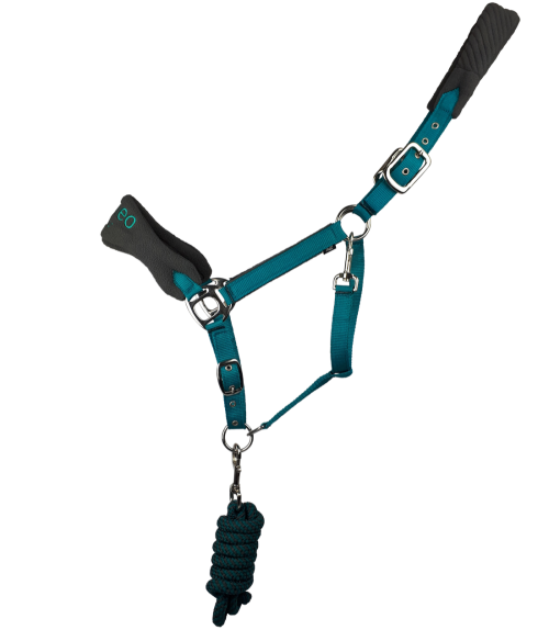 Hucklesbys's tweet image. In Stock Now - Elite Headcollar Set from Cameo.  With super soft padding on the nose, cheeks and poll &amp;amp; quality no rust robust fittings. Adjustable both sides of the poll. With matching leadrope. Available in 3 beautiful colour combinations. hucklesbys.com/?shop=search/e…
Trade Only.