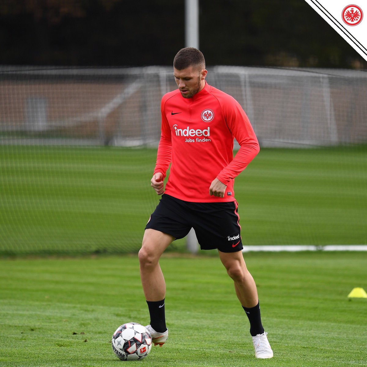 Eintracht Frankfurt ボールに触れる レビッチ と ガジノヴィッチ キャプテンの アブラーム Sge アイントラハト フランクフルト Eintracht Frankfurt ボールに触れる レビッチ と ガジノヴィッチ キャプテンの アブラーム Sge アイントラハト フランクフルト