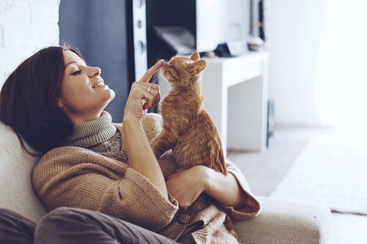 Welche #Katzenrasse passt zu Deiner Person? Erfahre es jetzt: bit.ly/2oRNZzE #cat #meinekatze #katze #dietierwelt