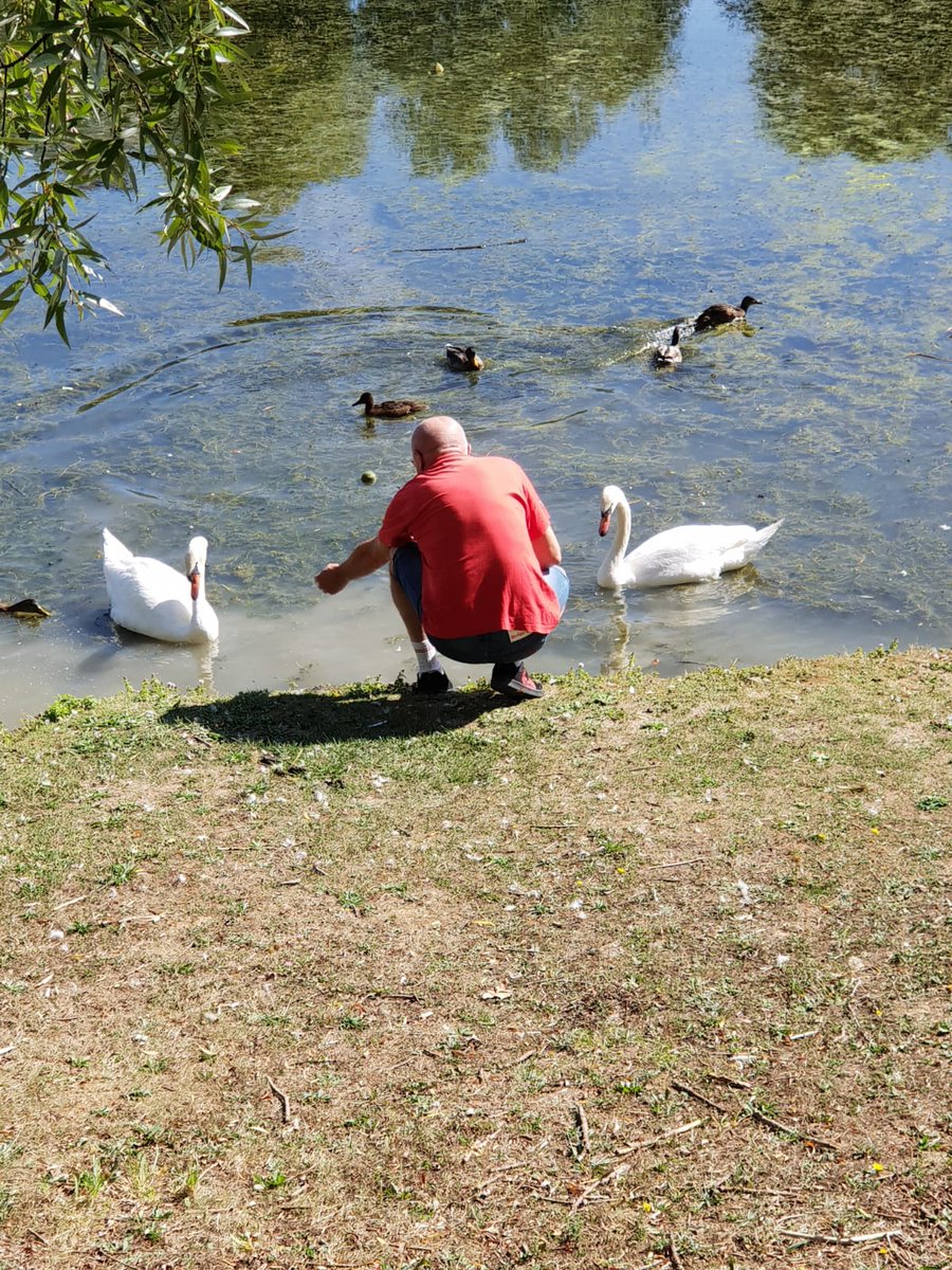 marcobobtail's tweet photo. #lafranceestbelle en Seine et marne https://t.co/knPAwIbyIo