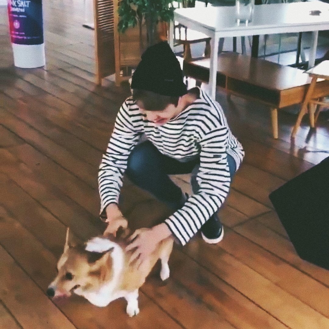 🐕💙💕 #Kangdaniel #강다니엘 #WannaOne