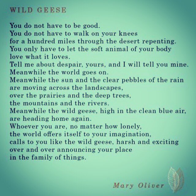 Happy Birthday, Mary Oliver. 