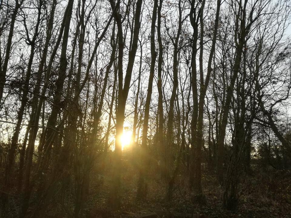 To those who continue to struggle in silence, you're not alone, don’t struggle in silence reach out. No matter how difficult life becomes there will always be someone to help. When you can’t see the wood from the trees look for someone carrying the torch. #WSPD18 #LetsTalk