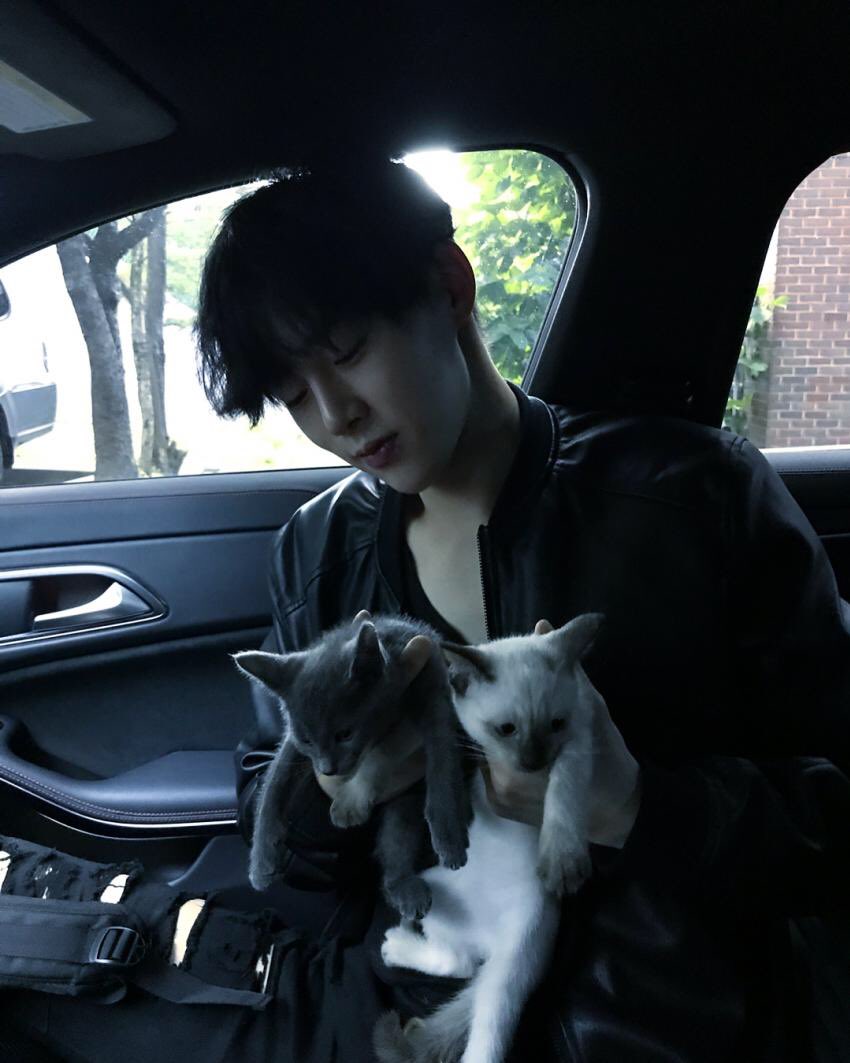 hyunbinmentbot's tweet photo. 새로운 가족이 생겼어요~
권루나 권아르 💕

🖋18.09.10 인스타그램 https://t.co/S1hUE0r1ip