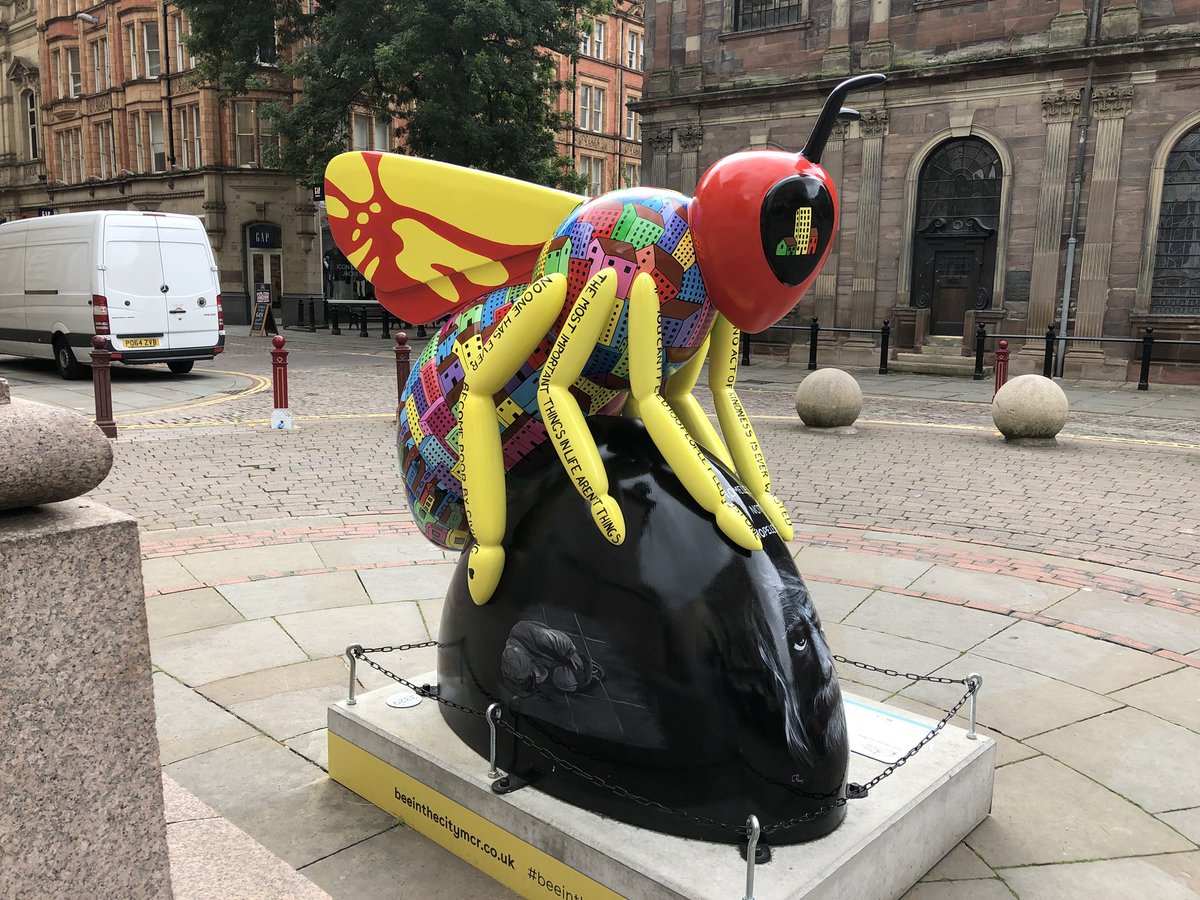ScottHibberson's tweet photo. Absolutely buzzing in Manchester today ... #beeinthecity #punfail https://t.co/bKRXEp2VsE