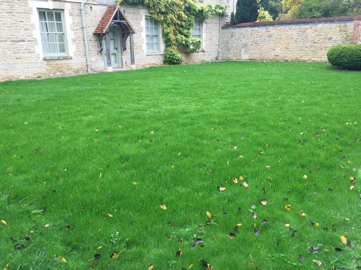 modernlawncare_'s tweet image. We sorted out a #ChaferBug attack recently by #scarifying, #aerating and then #seeding ..Success !!!!  
#grass #lawn #lawns #garden #gardens #bugs #chafer