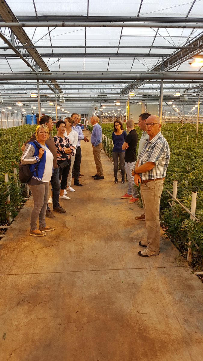 GreenportA's tweet photo. Met raadsleden en wethouder Antoinette Ingwersen van @gemnieuwkoop op bezoek bij @koelemanplants en #onnodobbe aan de Oostkanaalweg in Ter Aar: Prachtbedrijven met toekomst in een florerende sector! @MarcelvanTol https://t.co/WCneWBCvpy