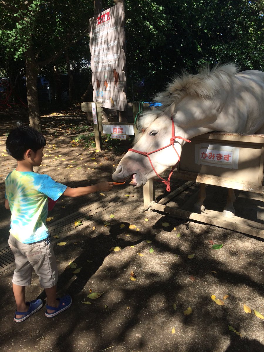 BAR STUDS tweet media