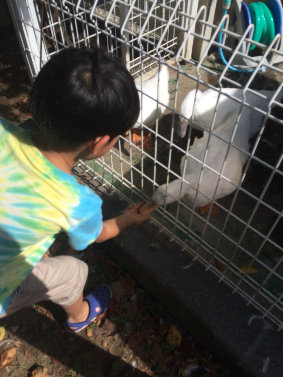 BAR STUDS tweet media