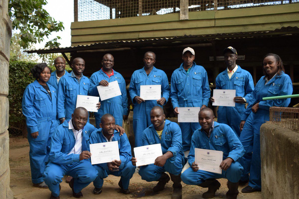 WangariMukunya's tweet photo. The academy of dairy managers.
#dairy
#perfometer
#dairyworld https://t.co/hAREOcmhJe