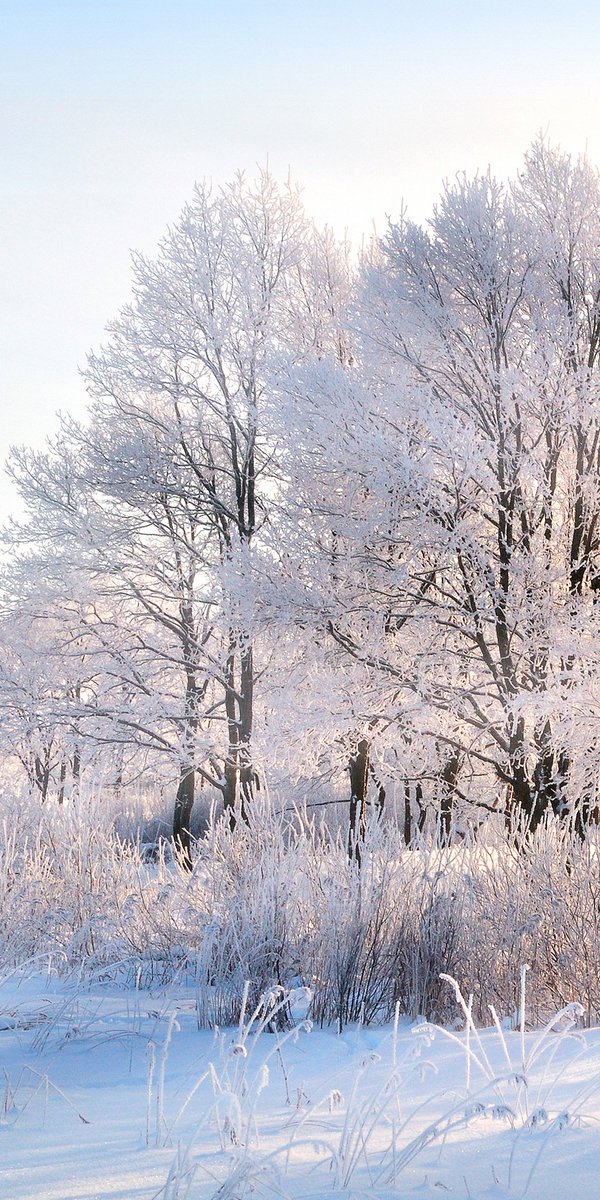 Aysumeriç (@aysumeri1) on Twitter photo 