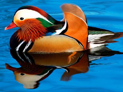 ARCO GARDA SILVANA tweet media