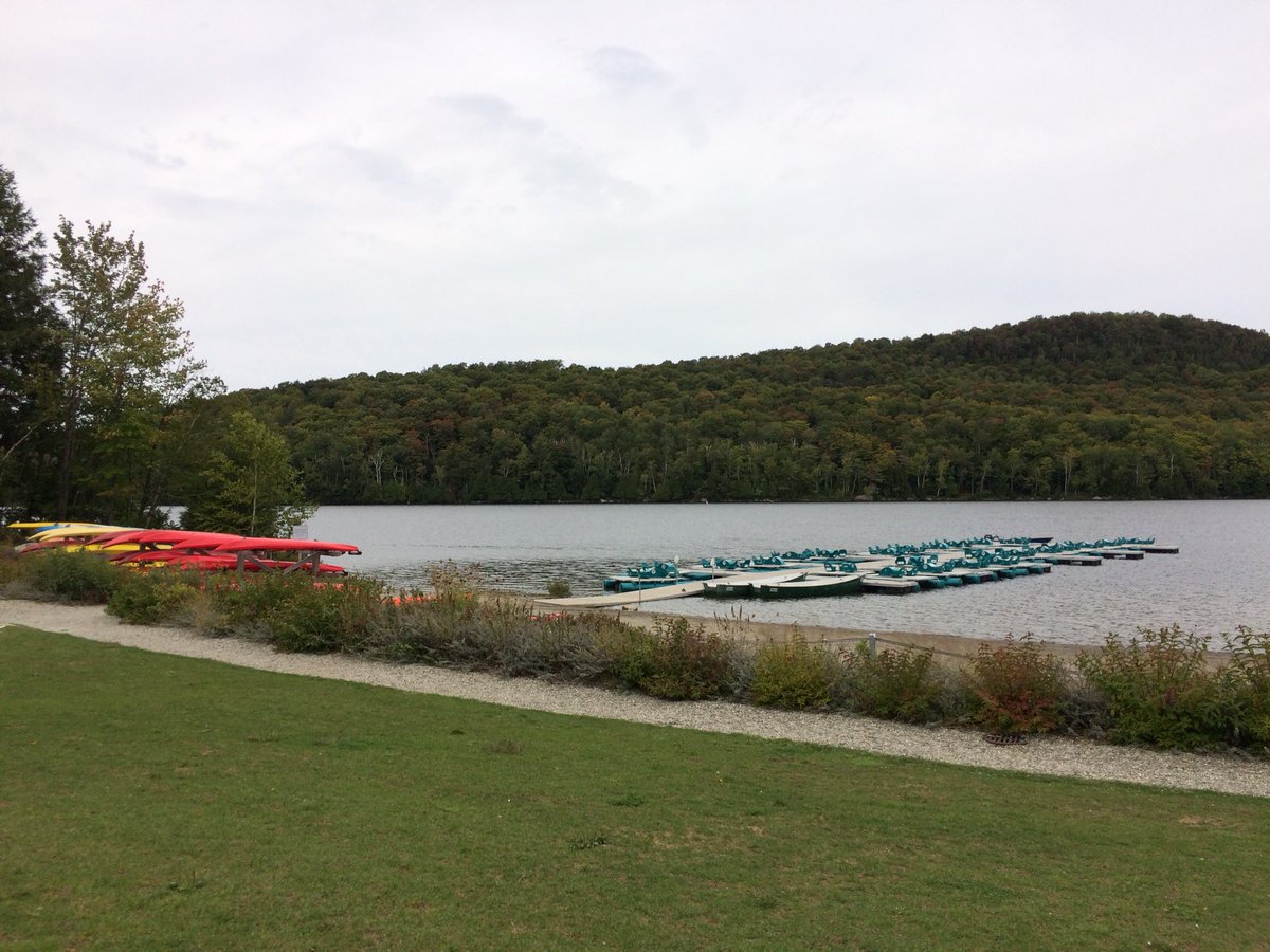 Hampstead School tweet media