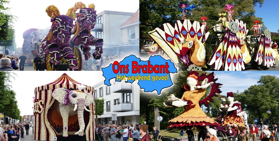 OnsBrabant's tweet photo. Geniet nog even na van @BC_Valkenswaard, met de foto's: https://t.co/8W9RUHF8UF #corsovwaard #corsovalkenswaard https://t.co/2qeqYJMjGK