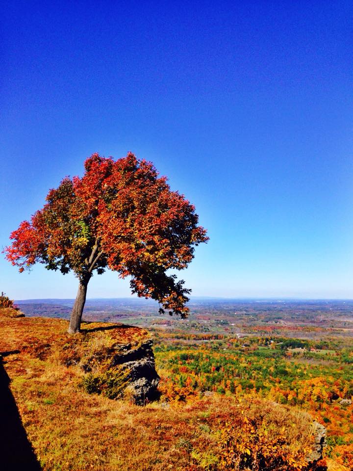 Let the #fall festivities begin! From foliage-filled state parks to world-class orchards, here are 24 #bucketlist items to check off this autumn. Who will be joining you? 😊 #NYLovesFall bit.ly/2oFlIfF