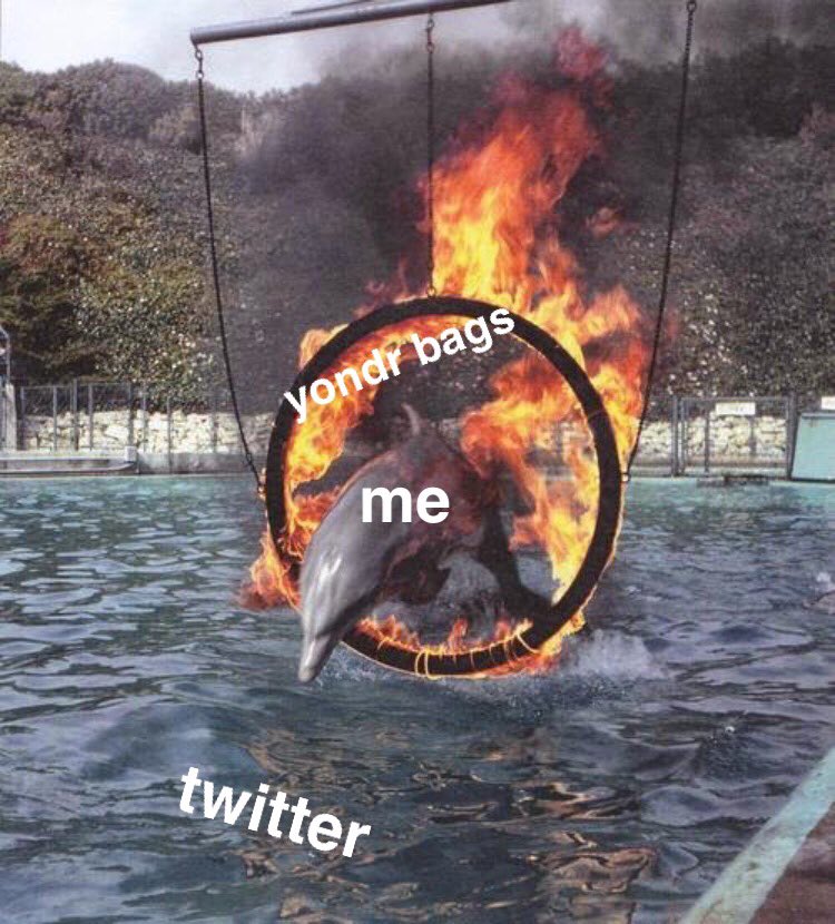 Offical Yondr tweet media