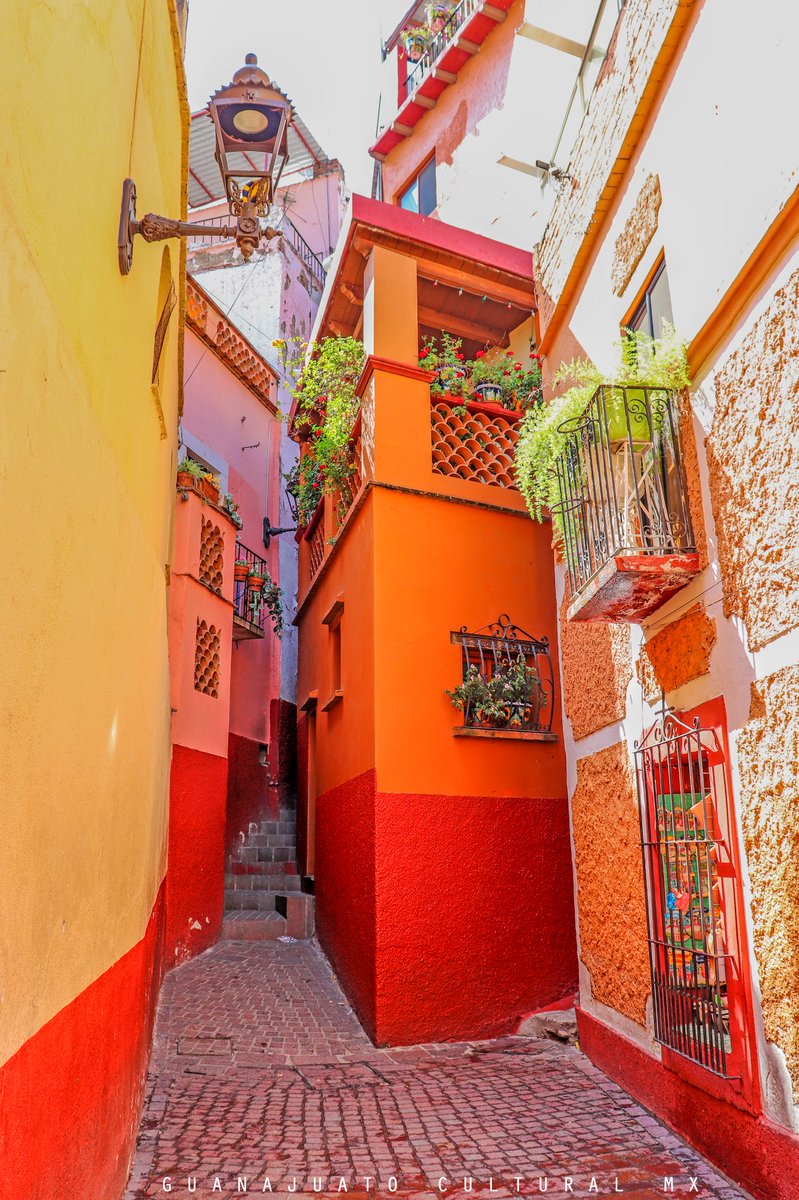 GtoCulturalMX's tweet photo. El lugar más romántico de México. 🇲🇽 

El Callejón del Beso. ❤️

#FelizLunes 
#Guanajuato 
#México https://t.co/BnJsHYDCvB