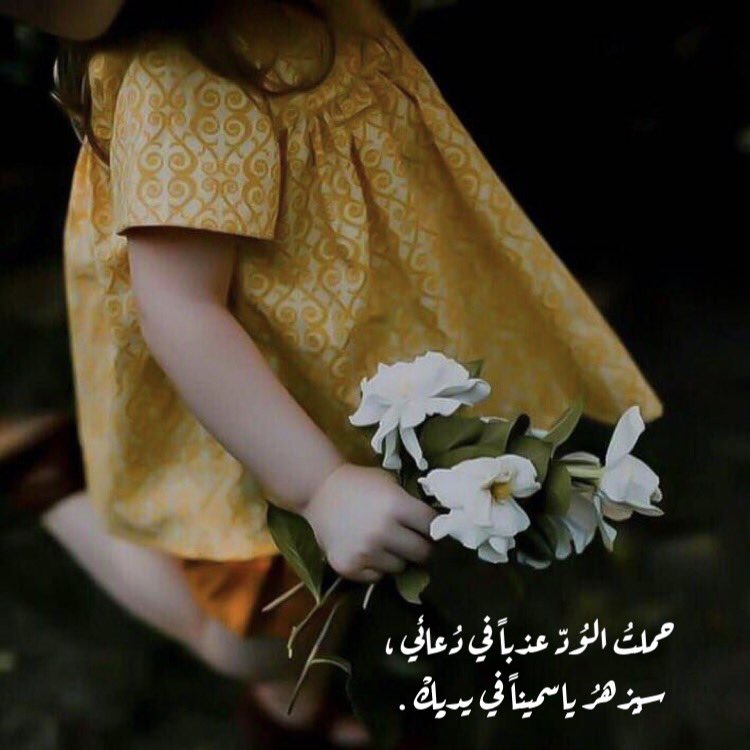 ‘

❥ ˓٭˛

مااعلم عن الدعاء.. إلا أنهُ حبلَ متين
لا ينقطع ،
وإن غاب عني منْ كان يدعُو لي ،
وإن غِبتُ عن من أدعُو له،
الدَعاء وصل . ♥️🍃🕊