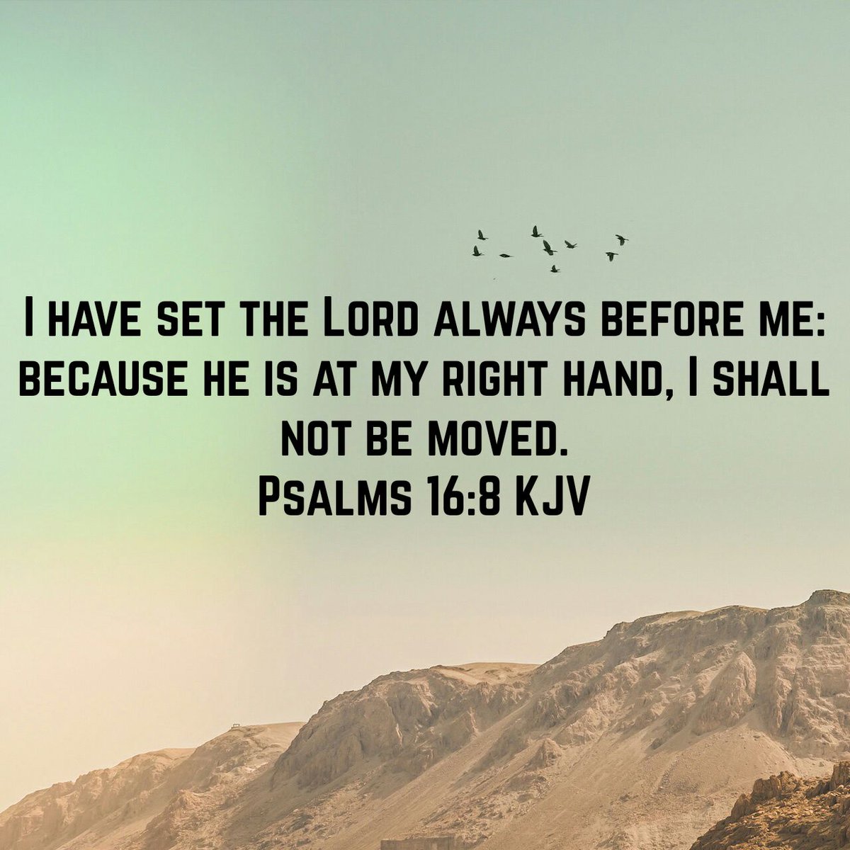 Chellybell03's tweet photo. I have set the Lord always before me: because he is at my right hand, I shall not be moved.
Psalms …
https://t.co/mf7WupF3E6 https://t.co/B5XUAD5TP1