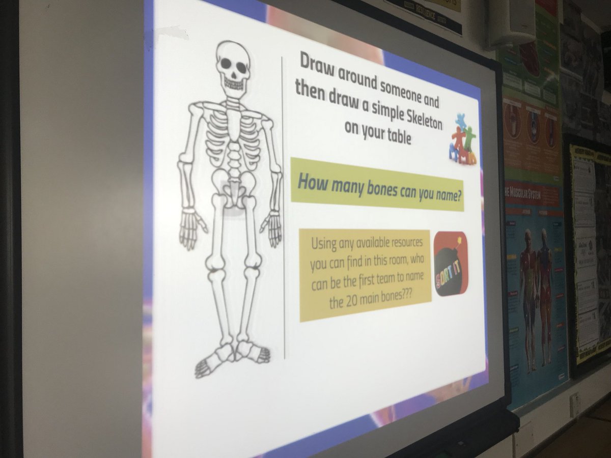 Liskeard_PE's tweet photo. New Year 10’s learning about the skeleton and working in teams to find out as much information as they can! #CreativeMe #ThinkingMe #SocialMe https://t.co/1ug2lro2HD