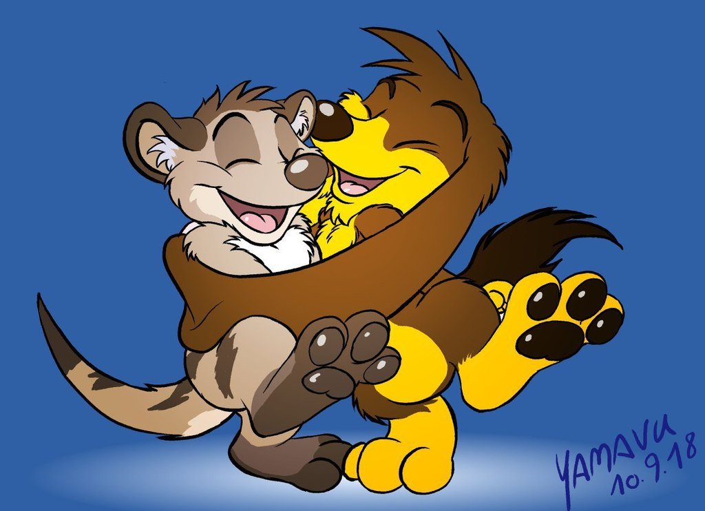 yamavu's tweet photo. all the earhugs for this kat @TitashMeerkat #titash #meerkat #yamy #dog #earhug https://t.co/91pPuZIHlZ