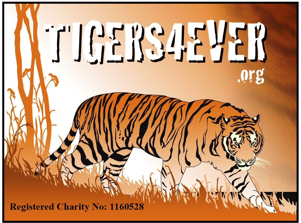 Tigers4Ever2010's tweet image. This year we&apos;re joining 200 other charities for #RememberACharityWeek to launch the @RememberCharity #humansearchengine.  You can visit it today to get answer to some of life&apos;s biggest questions: 
humansearchengine.org/search #RememberATiger