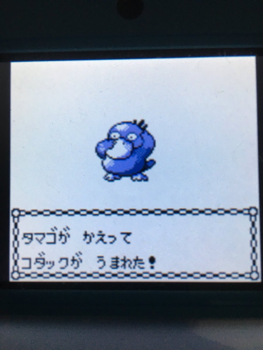 色違いポケモン紹介 Vc産コダック 自由に生きてあそblog