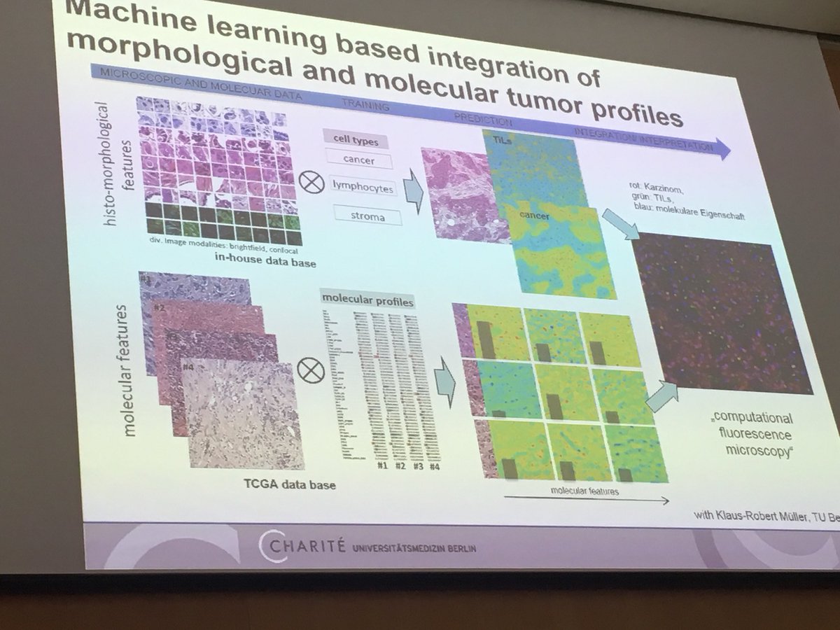 Frederick Klauschen, Germany | Digital pathology - a prerequisite for precision medicine #ESPBilbao2018 #digitalPathology #molecularData