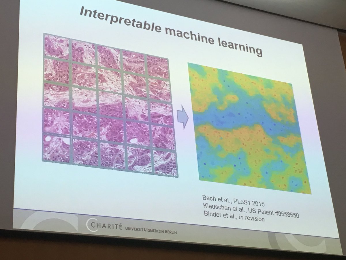 Norman Zerbe tweet media