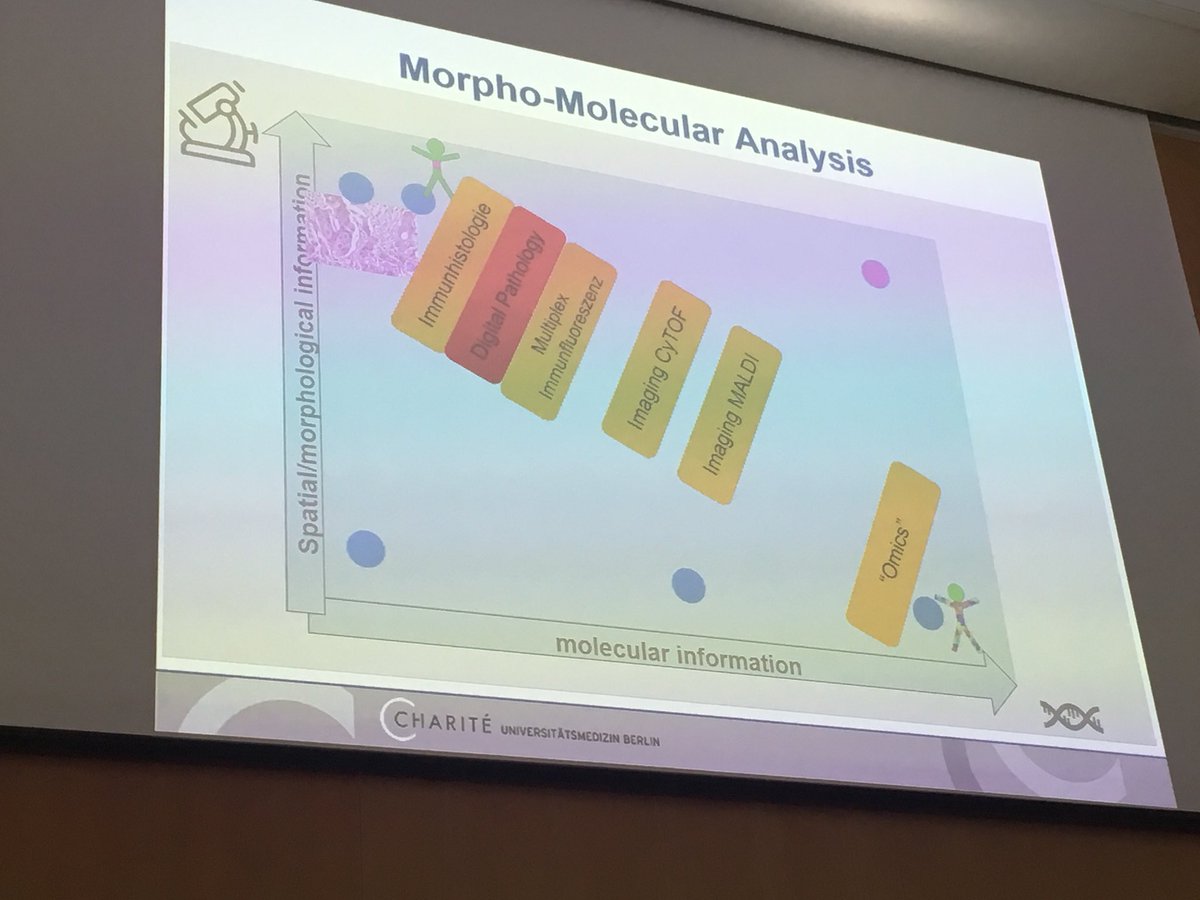 Norman Zerbe tweet media