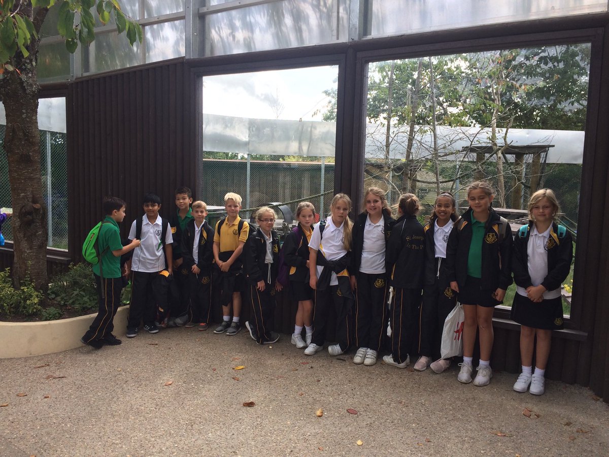 J4fromthepark's tweet photo. Year5 at Monkeyworld https://t.co/TvlpAJHpa7