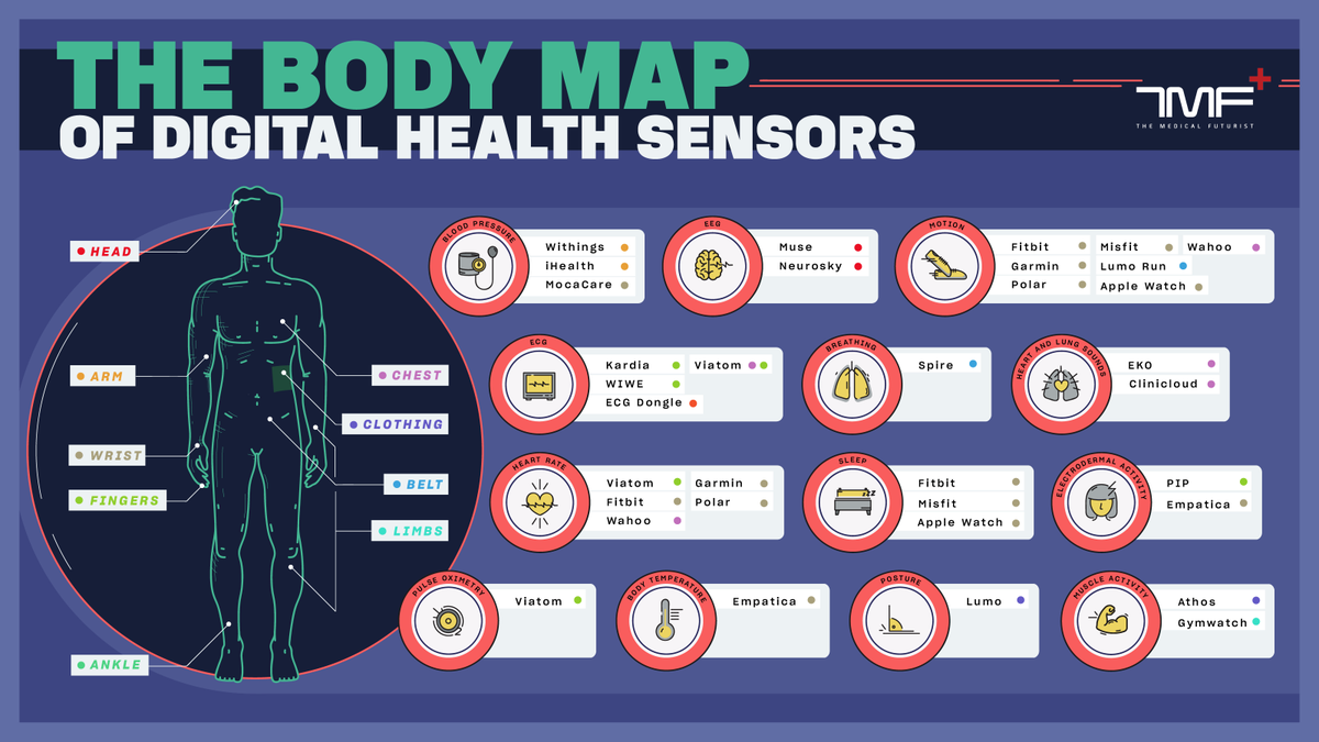 Berci's tweet photo. We decided to put all the #digitalhealth sensors into a database with a lot of features and details about the company behind them and what they can measure. The database is open access and free to use. It also comes with a body map of health sensors. https://t.co/3D3OHtAOqU https://t.co/XVVNN8TqJa