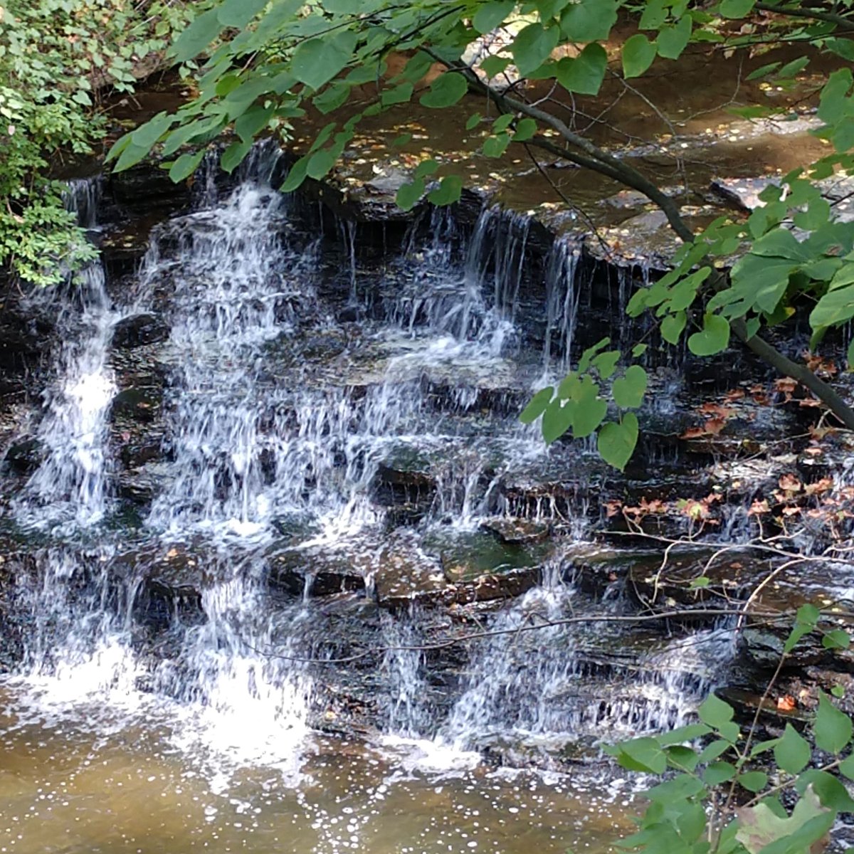 greatparks's tweet photo. It can be hard to appreciate rain when it doesn't stop for three days straight, but many spots in Great Parks of Hamilton County become even more beautiful after a good downpour: like Sharon Creek's waterfalls! https://t.co/81v9783HW7