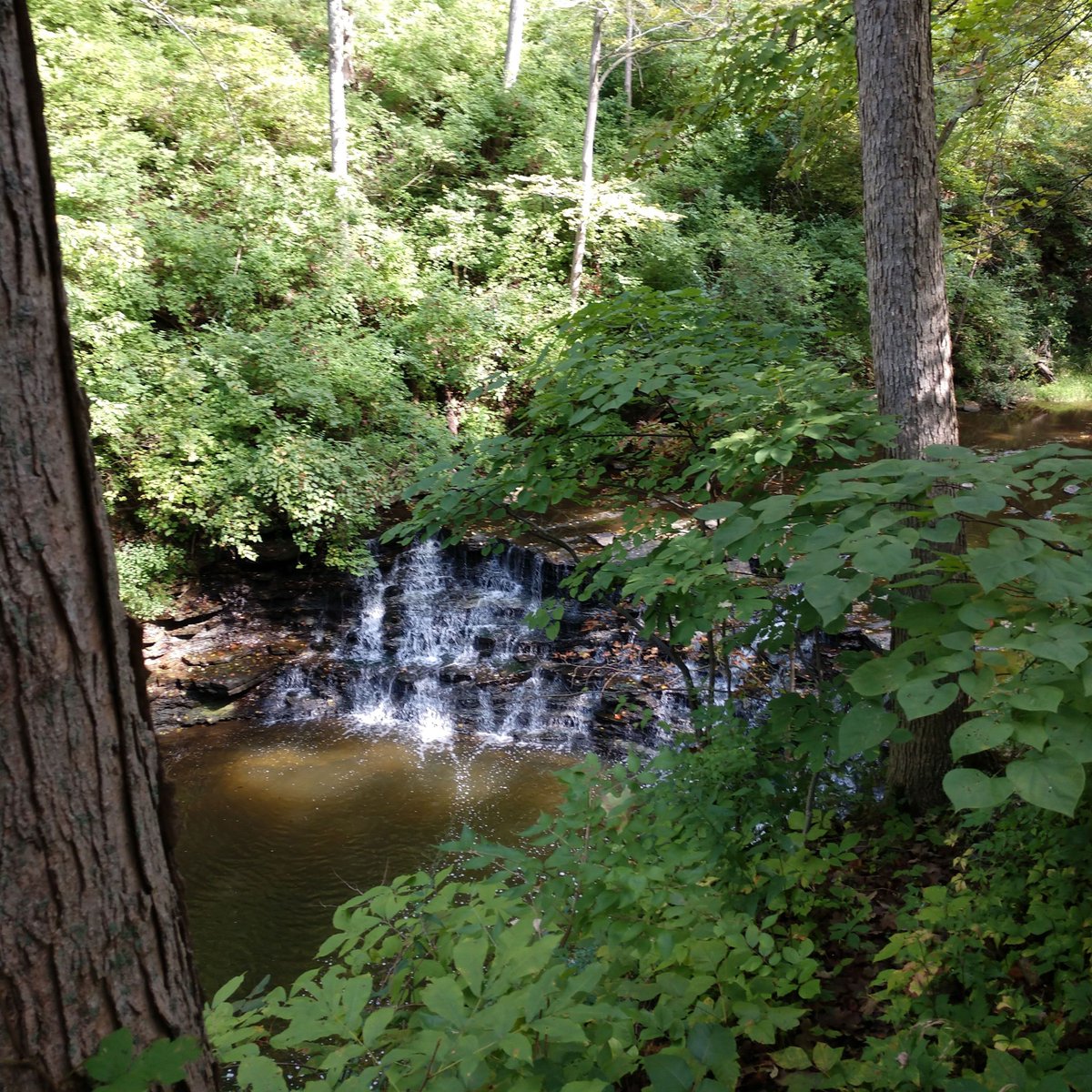 greatparks's tweet photo. It can be hard to appreciate rain when it doesn't stop for three days straight, but many spots in Great Parks of Hamilton County become even more beautiful after a good downpour: like Sharon Creek's waterfalls! https://t.co/81v9783HW7